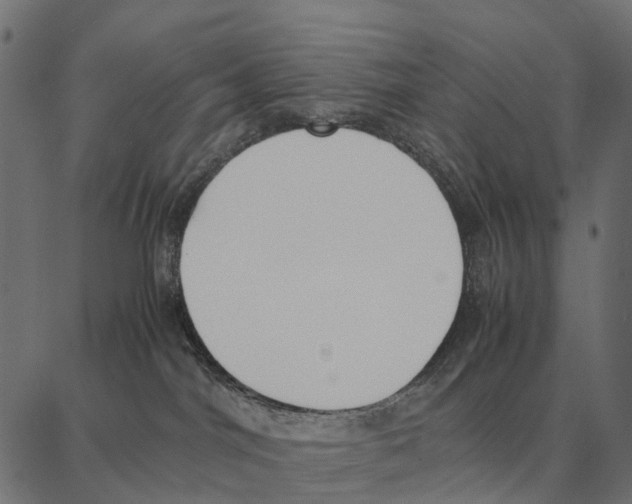 X0000087320044200705181022