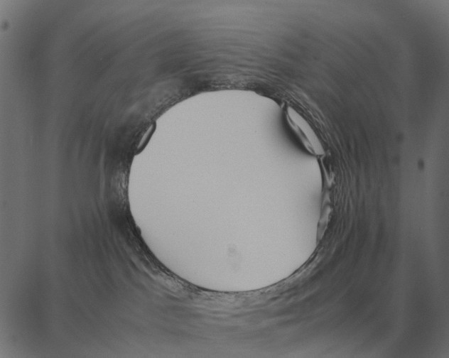 X0000087320045200705181022