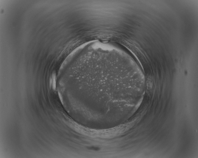 X0000087320046200705181022