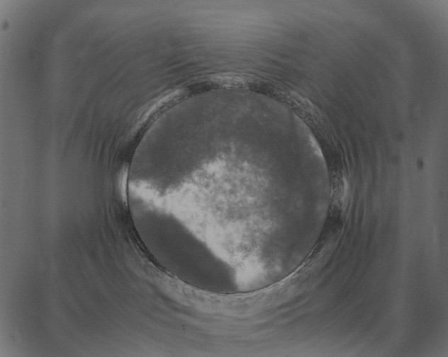 X0000087320047200705181022