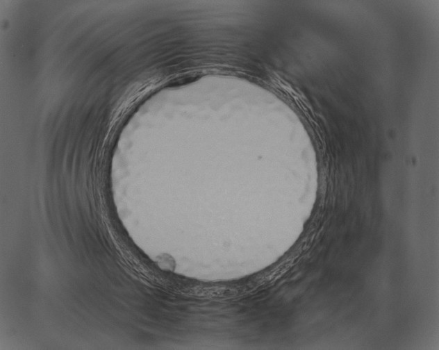 X0000087320049200705181021