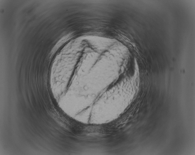 X0000087320051200705181021