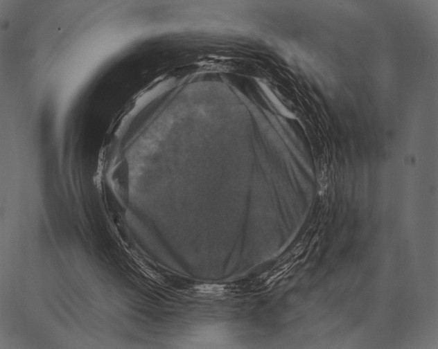 X0000087320052200705181021