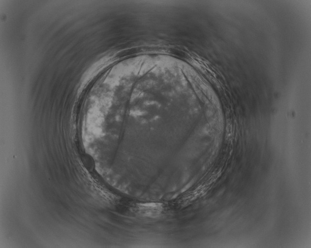 X0000087320053200705181021