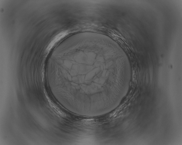 X0000087320054200705181021