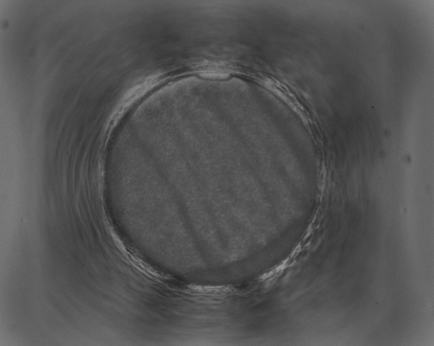 X0000087320055200705181021