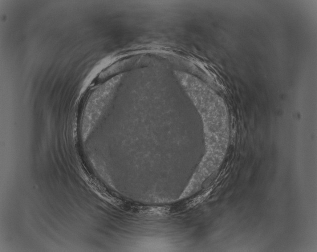 X0000087320056200705181021