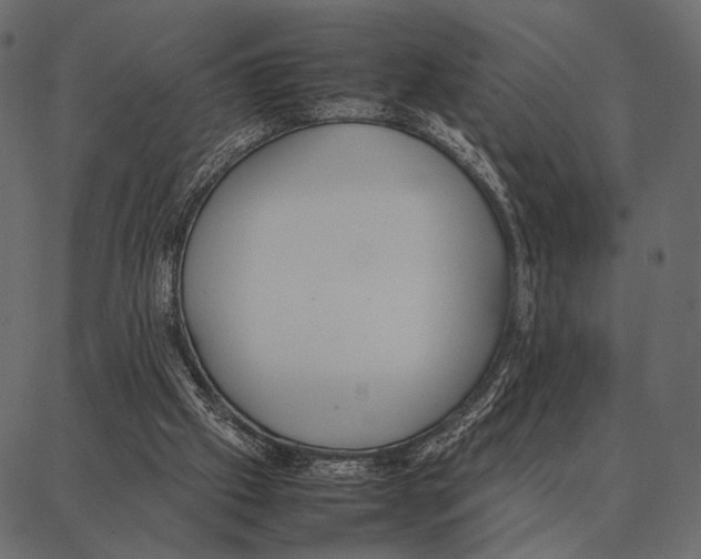 X0000087320057200705181021