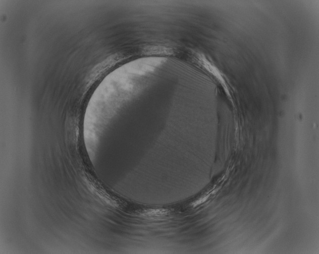 X0000087320059200705181021