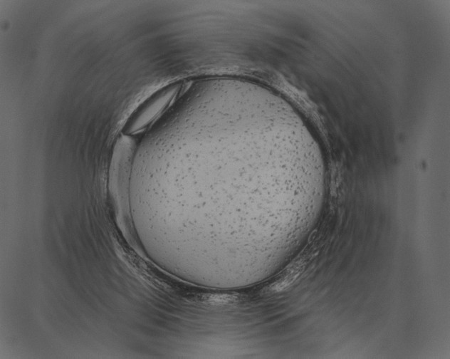 X0000087320060200705181021