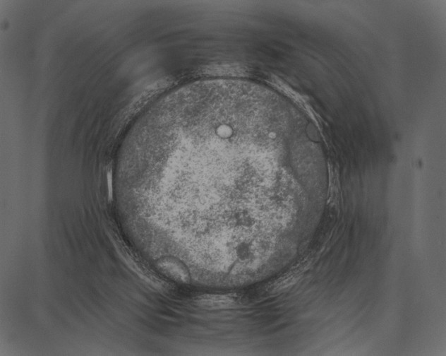 X0000087320061200705181021