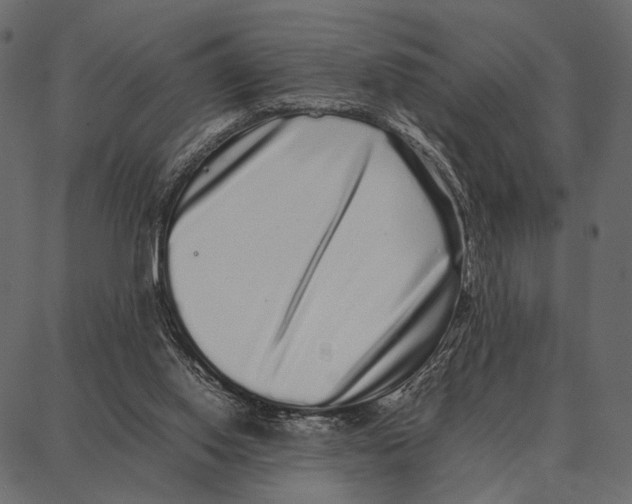 X0000087320062200705181021