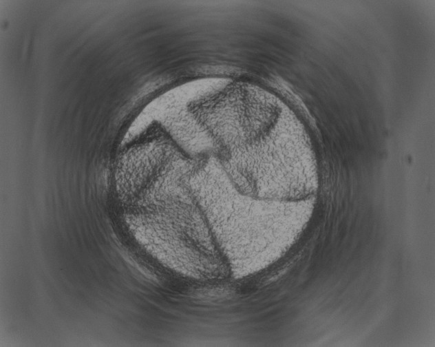 X0000087320063200705181021