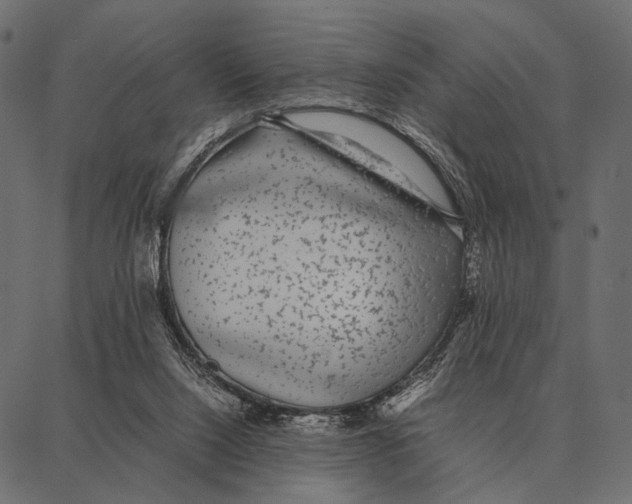 X0000087320064200705181021