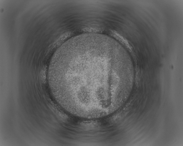 X0000087320065200705181021