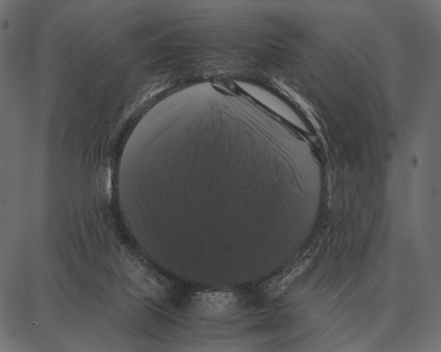 X0000087320067200705181021