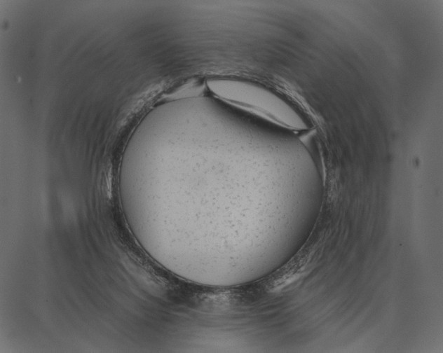 X0000087320068200705181021