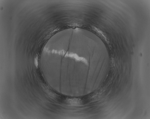 X0000087320069200705181021