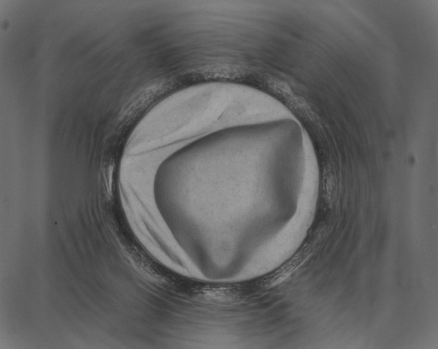 X0000087320070200705181021