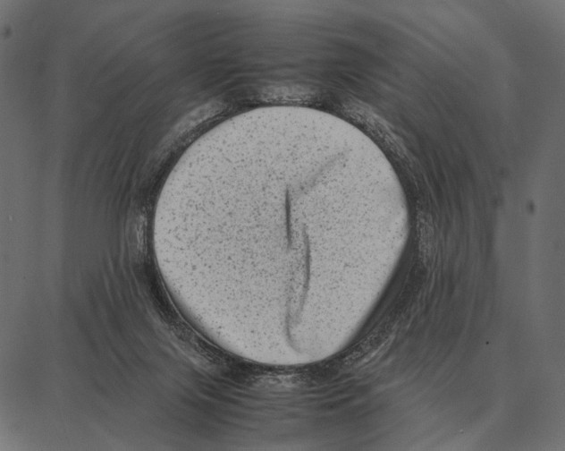 X0000087320071200705181021