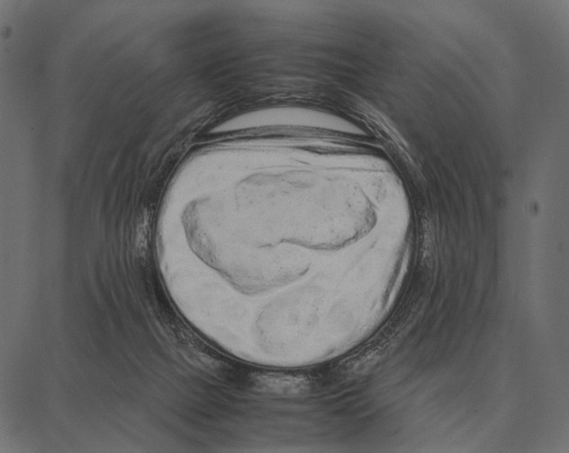 X0000087320073200705181021