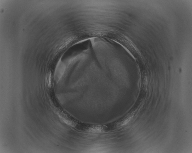 X0000087320076200705181021