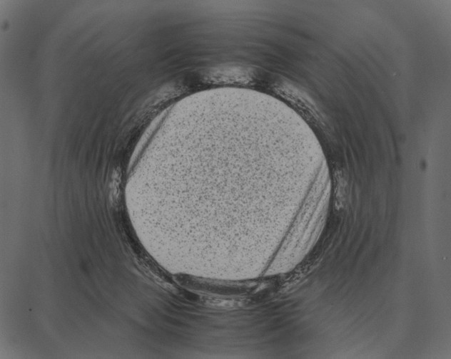 X0000087320077200705181021