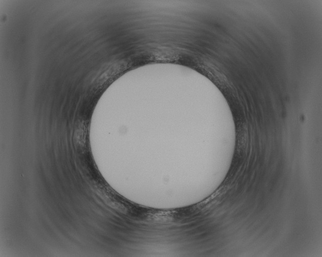 X0000087320078200705181021