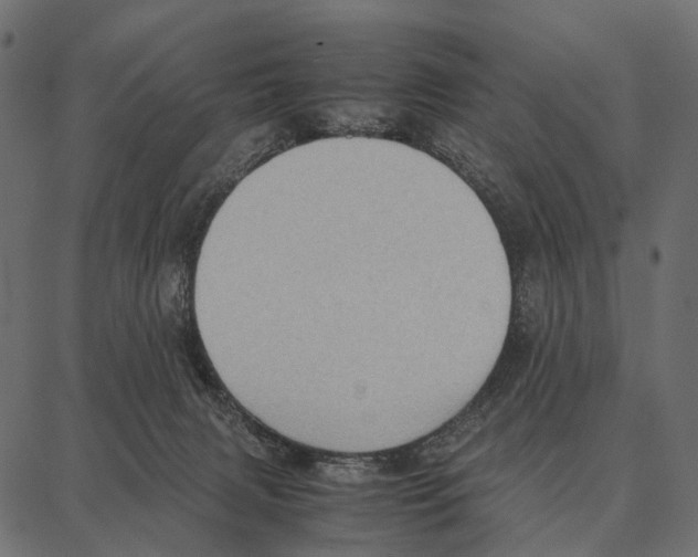 X0000087320079200705181022