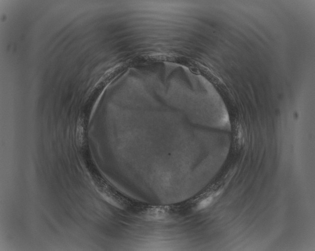 X0000087320080200705181022