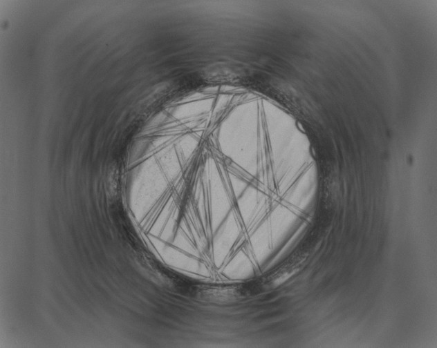 X0000087320081200705181022