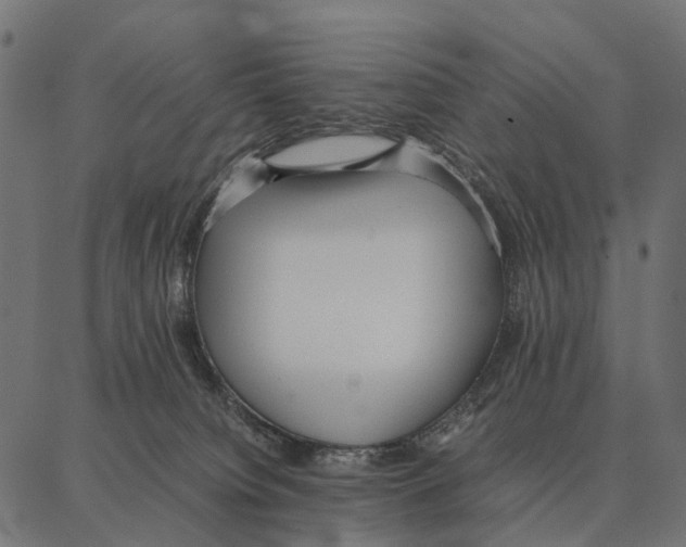 X0000087320084200705181022