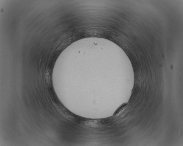 X0000087320086200705181022