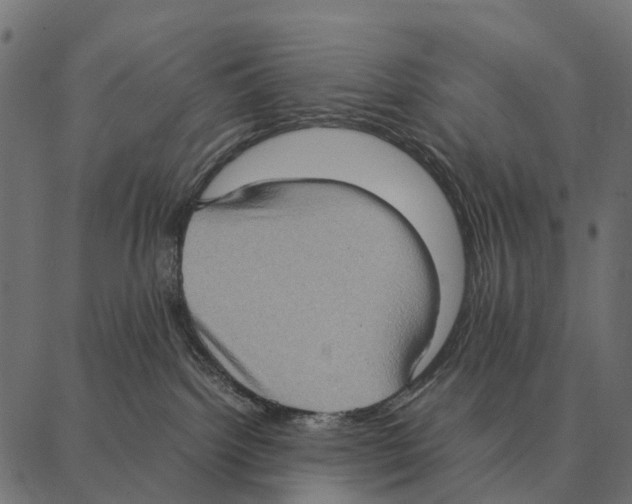 X0000087320092200705181022