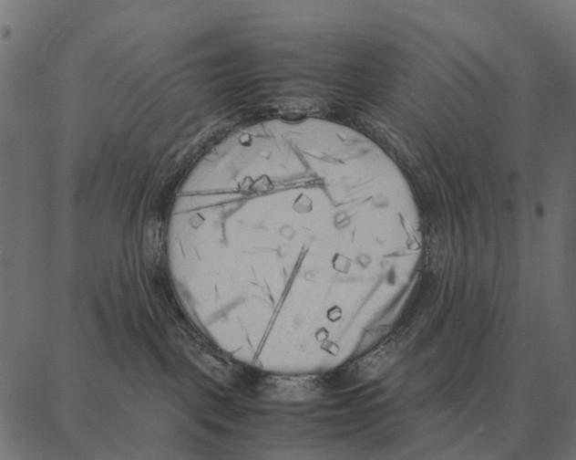 X0000087320093200705181022