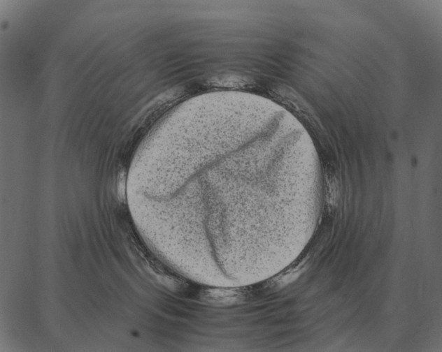 X0000087320095200705181022