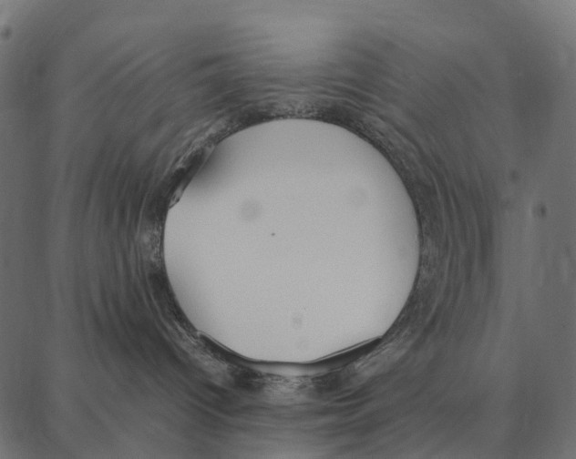 X0000087320096200705181022