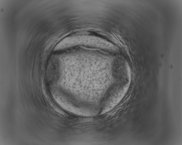 X0000087320097200705181021