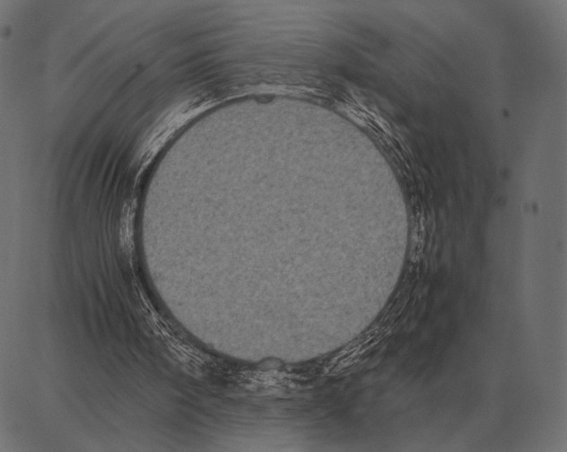 X0000087320098200705181021