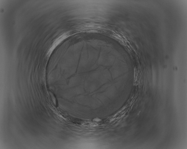 X0000087320099200705181021