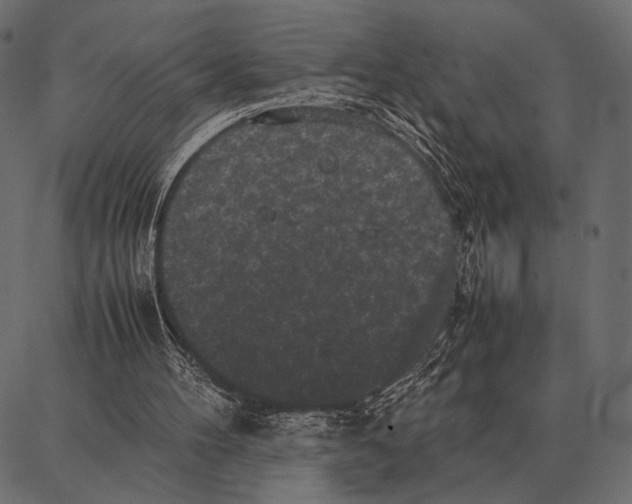 X0000087320100200705181021