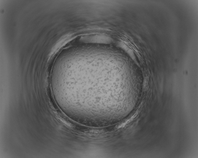 X0000087320101200705181021