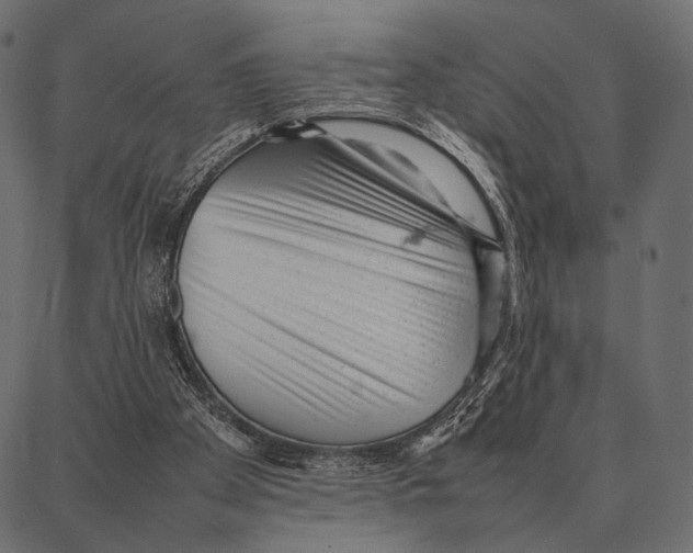 X0000087320105200705181021