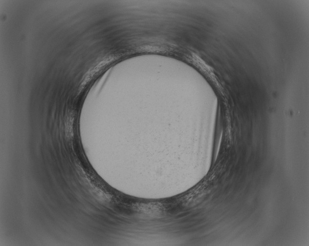 X0000087320106200705181021