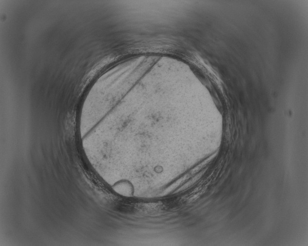 X0000087320107200705181021