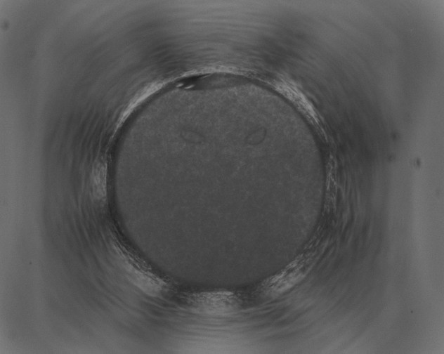 X0000087320108200705181021