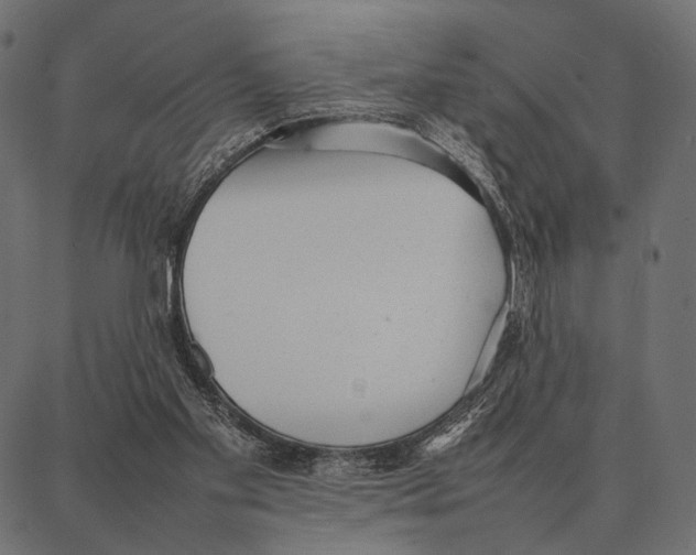 X0000087320109200705181021