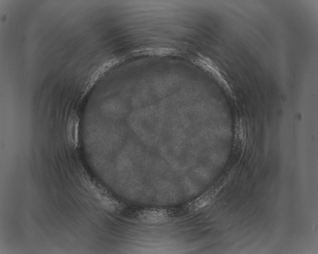 X0000087320110200705181021