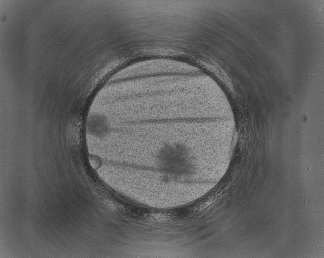 X0000087320111200705181021