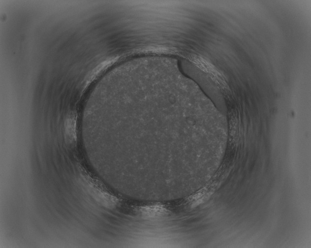 X0000087320112200705181021